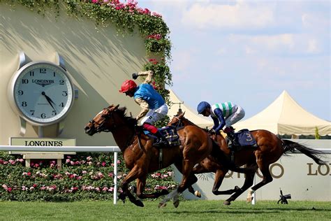 royal ascot stats|Royal Ascot 2024 .